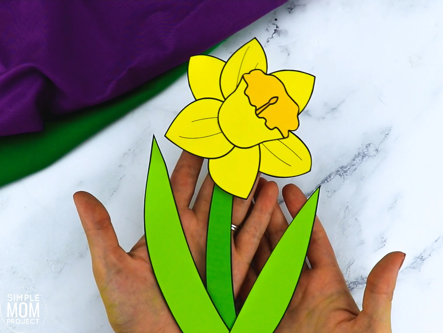 daffodil template