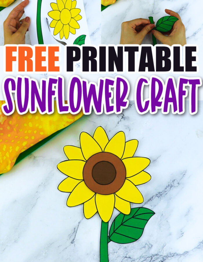 Are you looking for a step by step sunflower craft to make with your preschool class? This easy flower sunflower craft is great for handmade cards, teaching about the letter S and many other fun spring sunflower activities. Click now to download and print your sunflower craft template today!