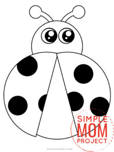 Free Printable Ladybug template for preschoolers, toddlers, and kindergartners