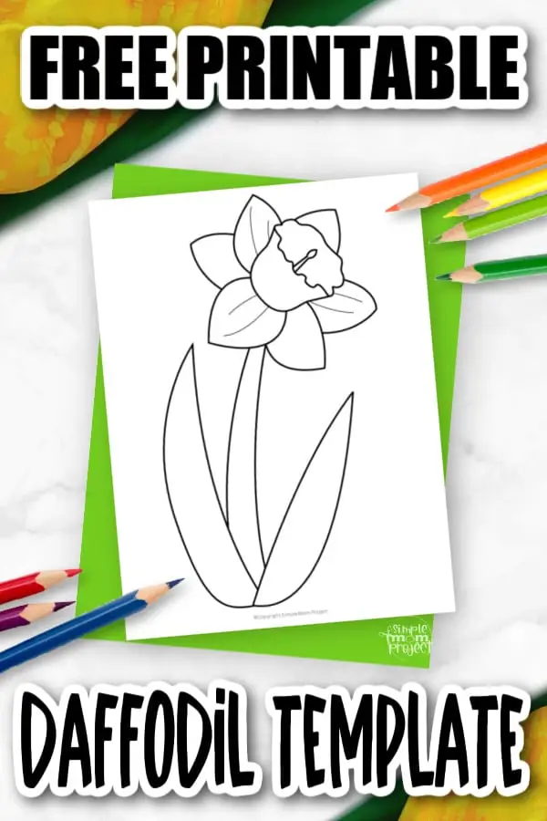 Free Printable Daffodil Flower Template for Kids, Preschooler, Kindergartner 3