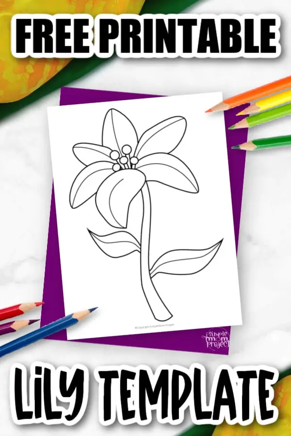 Free Printable Lily Flower Template for Kids, Preschooler, Kindergartner 3