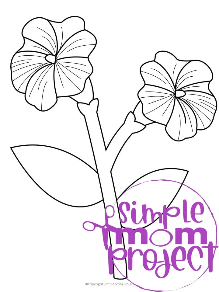 Free Printable Petunia Flower Template for Kids, Preschooler, Kindergartner