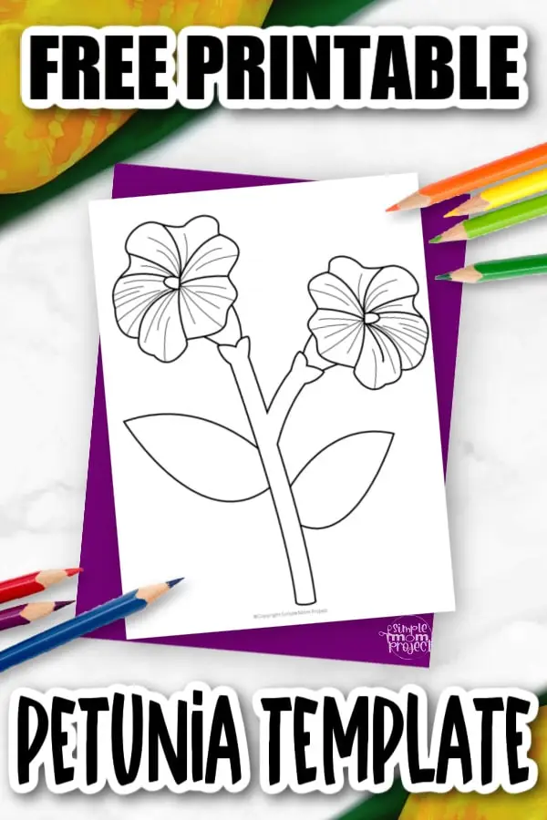 Free Printable Petunia Flower Template for Kids, Preschooler, Kindergartner 3