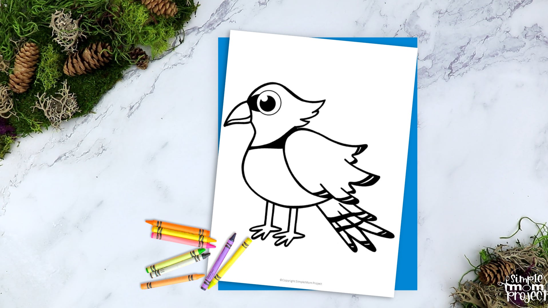 Printable Blue Jay Template Coloring Page for Kids Preschoolers Toddlers and Bird Crafts 2