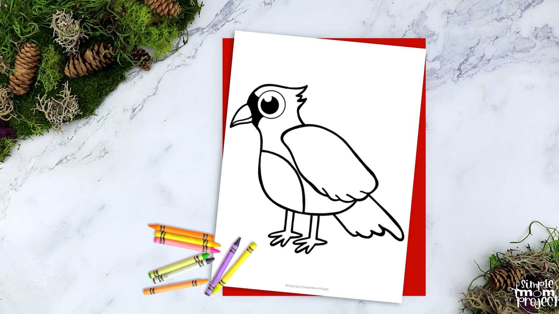 Printable Cardinal Template Coloring Page for Kids Preschoolers Toddlers and Bird Crafts 2