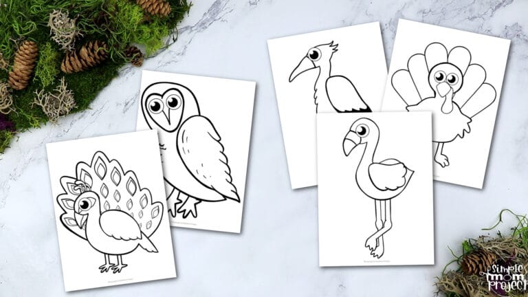 Printable Bird Templates – Simple Mom Project