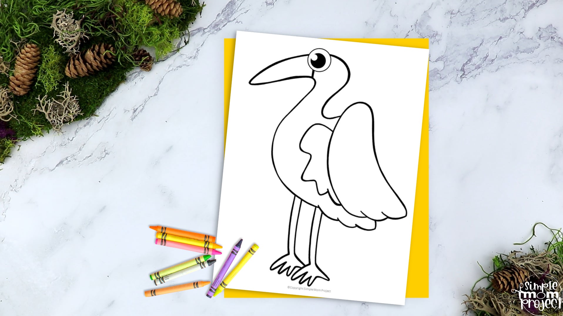 whooping crane coloring pages