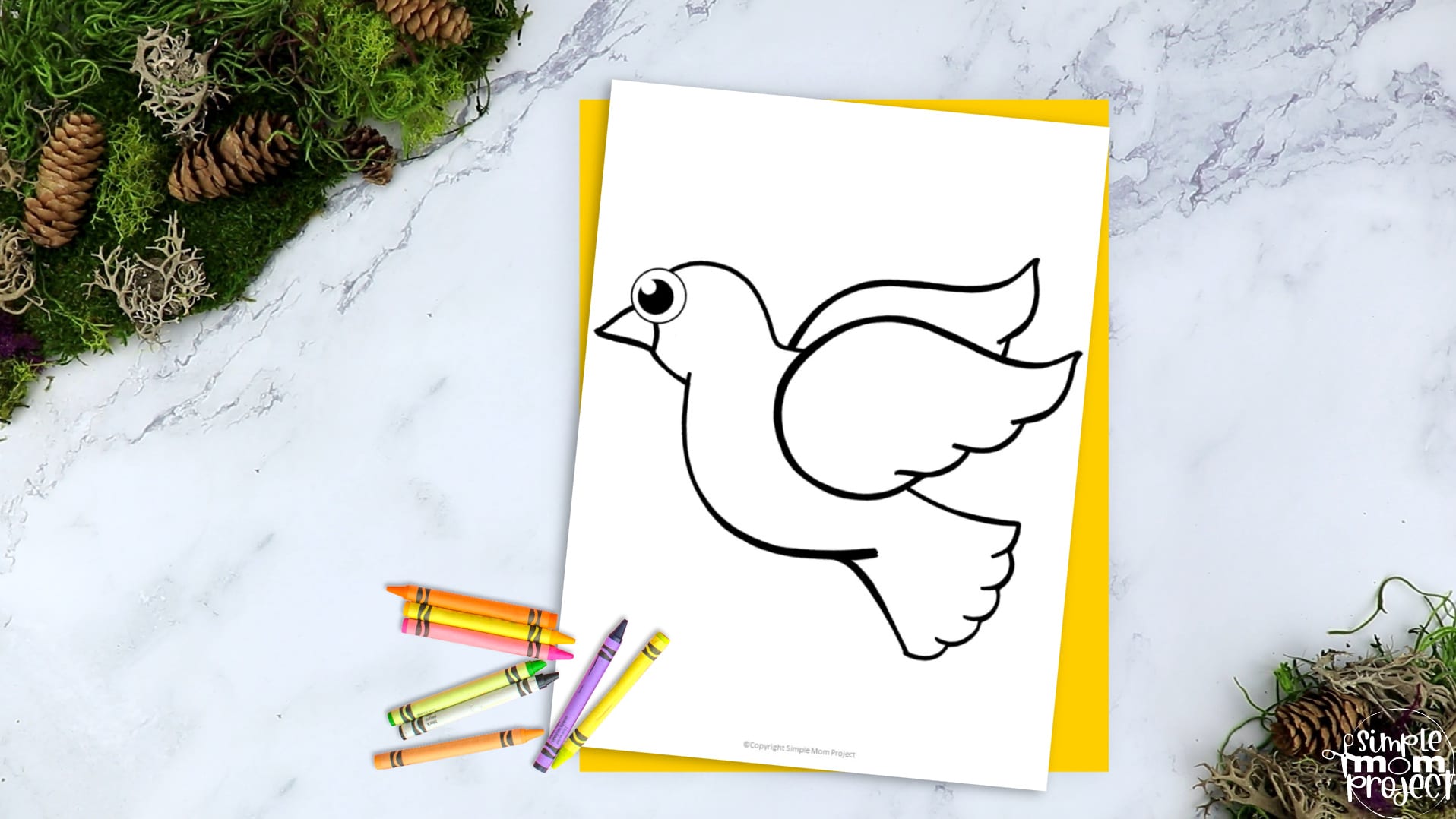 Printable Dove Template Coloring Page for Kids Preschoolers Toddlers and Bird Crafts 2