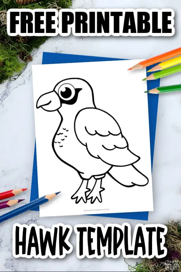 Printable Hawk Template Coloring Page for Kids Preschoolers Toddlers and Bird Crafts 3