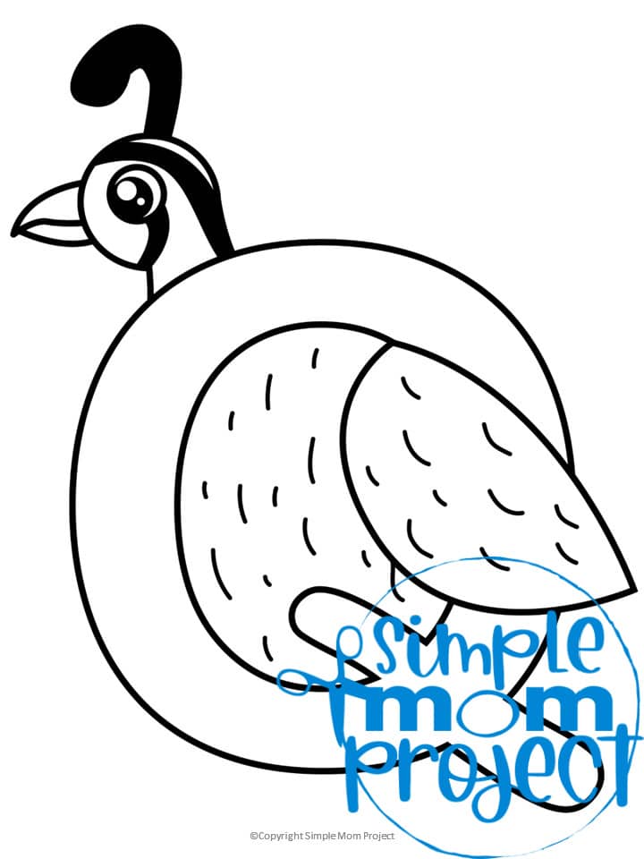 quail family coloring page