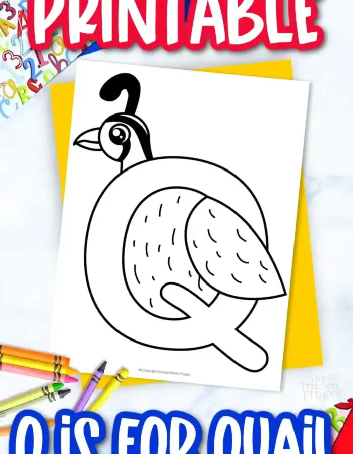 Are you looking for a creative way to teach your kids the letter Q? This free printable letter Q for quail coloring page is perfect for your toddler, preschool and kindergarten kids. It’s the ideal activity for kids to learn words that begin with the letter Q or find a queen coloring page once they finish this printable coloring Q worksheet. Be sure to print your copy today!