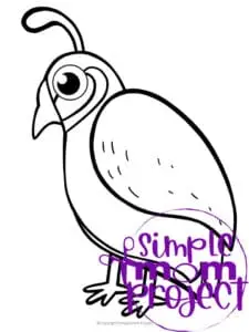 Printable Partridge Template Coloring Page for Kids Preschoolers Toddlers and Bird Crafts 1
