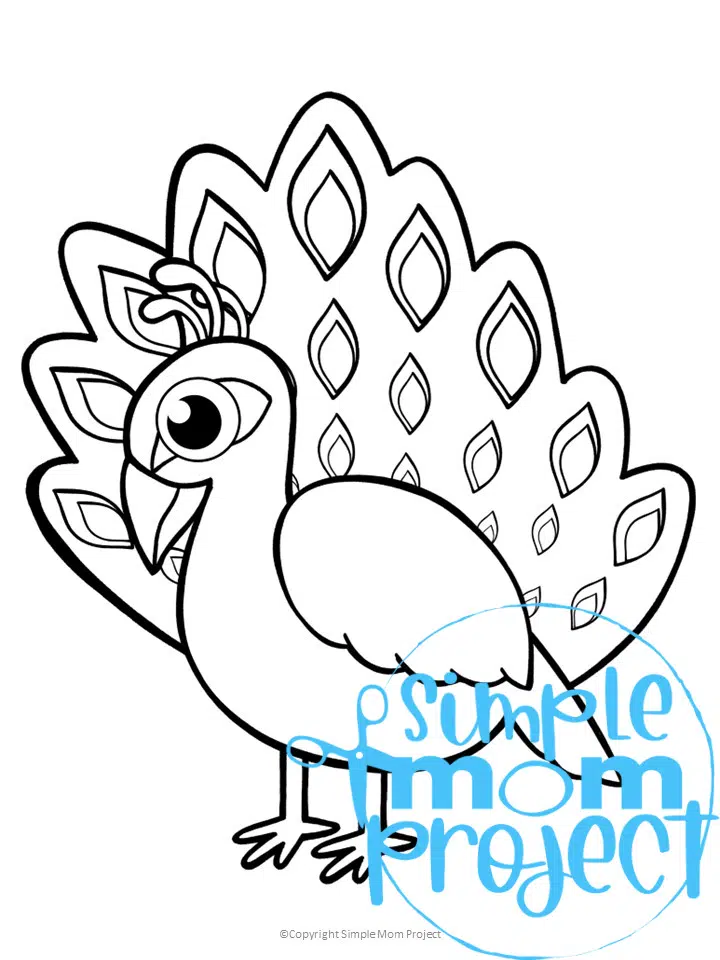 Free: peacock cartoon coloring page for kids - nohat.cc