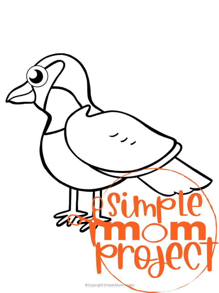 Printable Sparrow Template Coloring Page for Kids Preschoolers Toddlers and Bird Crafts 1