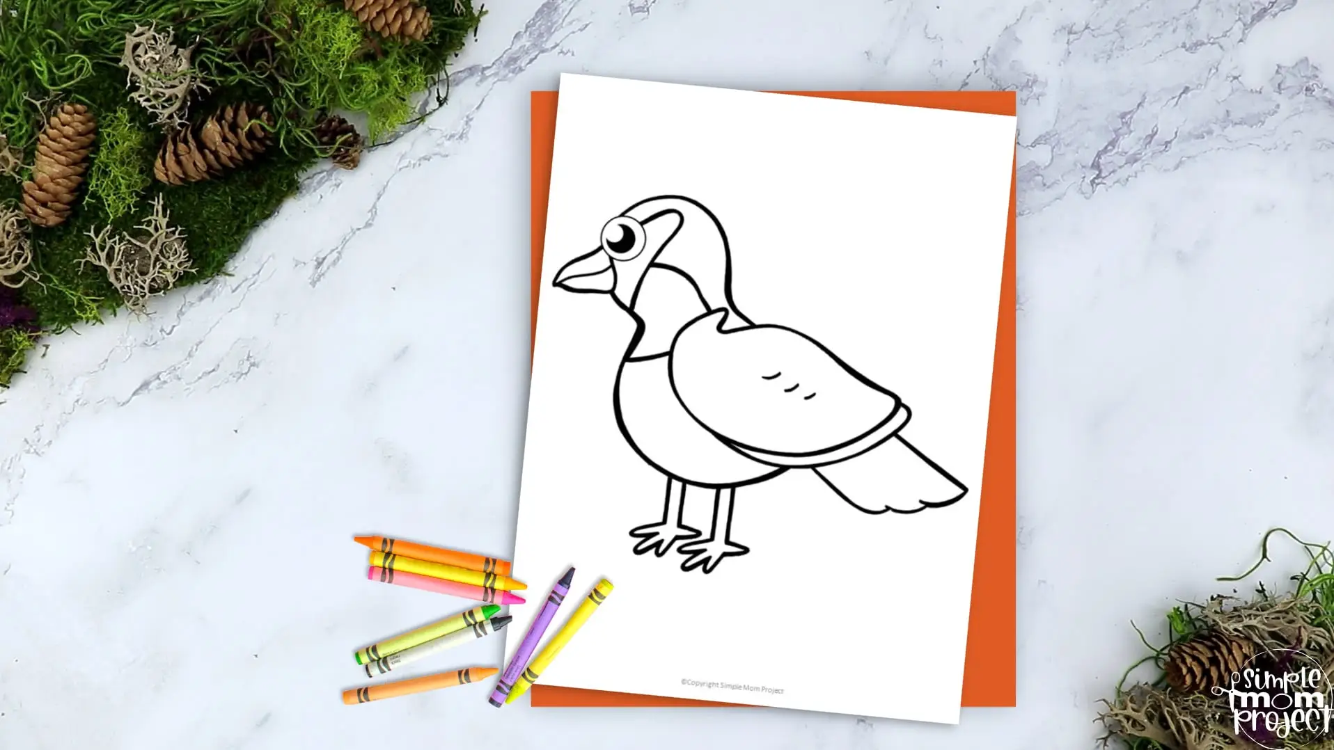 Printable Sparrow Template Coloring Page for Kids Preschoolers Toddlers and Bird Crafts 2