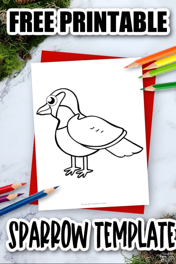 Printable Sparrow Template Coloring Page for Kids Preschoolers Toddlers and Bird Crafts 3