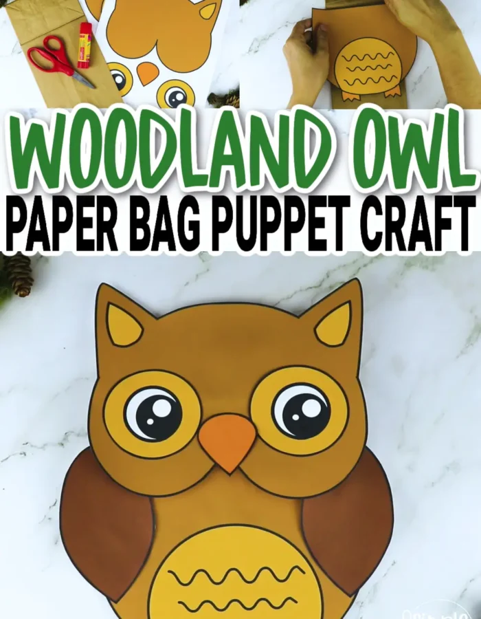 Are you searching for a basic snowy owl template to turn into fun paper bag cartoon owl animal puppets for your kids? This easy printable owl template is perfect for your bird lesson plans, woodland animal puppet shows and owl themed decorations. Click now to purchase your own barn owl template today!