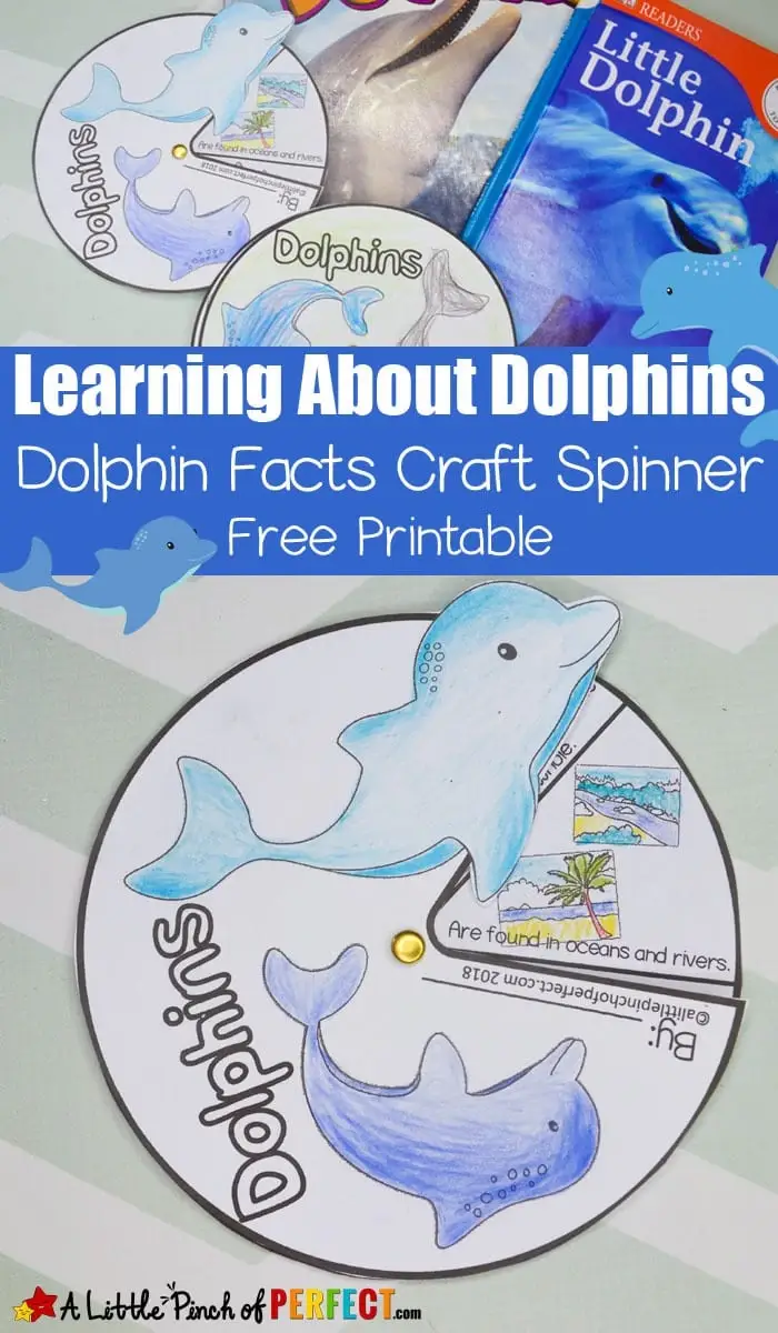 Learning-About-Dolphins-Activities-for-Kids-and-Free-Printable_A-Little-Pinch-of-Perfect-7