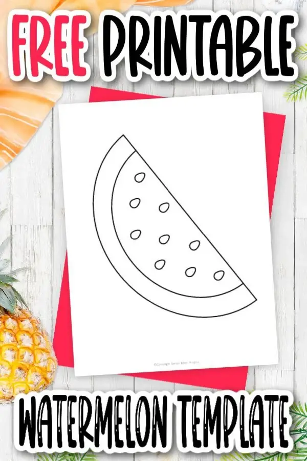 20+ Easy and Fun Watermelon Crafts and Activities for Kids – Simple Mom ...