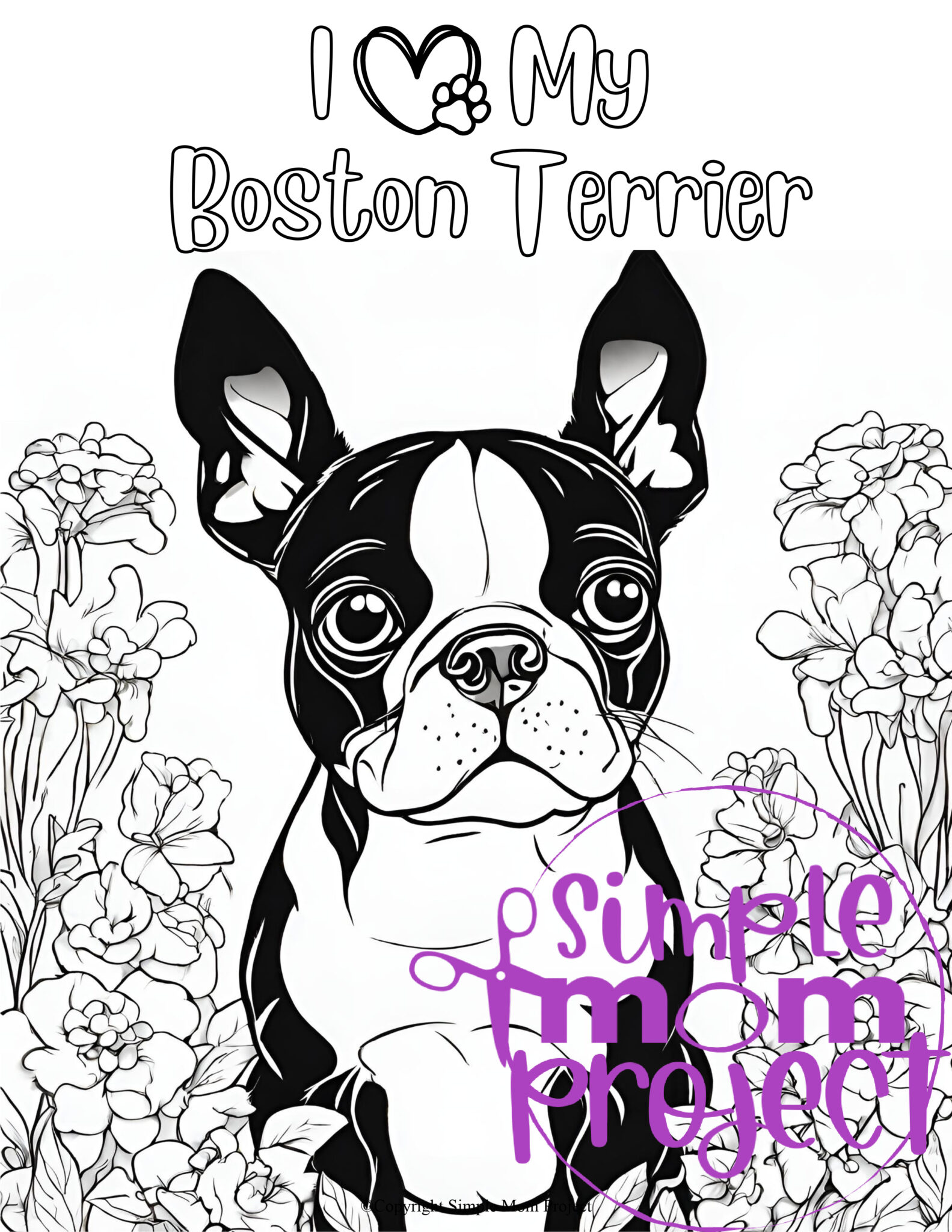 Free Printable Boston Terrier Coloring Pages for Kids – Simple Mom Project