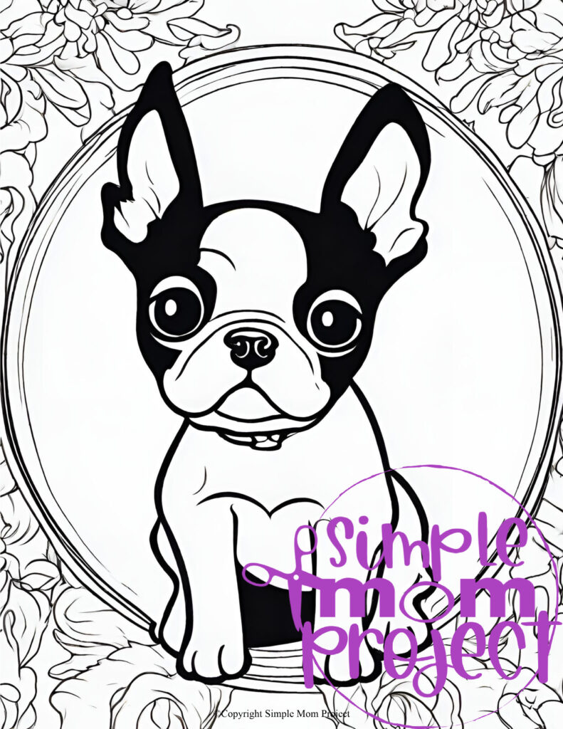 Free Printable Boston Terrier Coloring Pages For Kids – Simple Mom Project