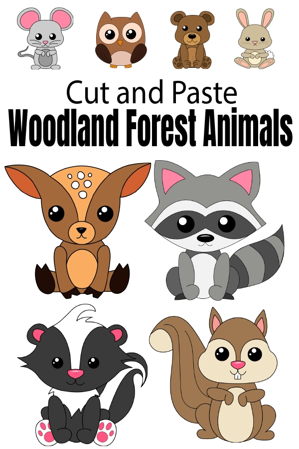 Woodland Animal Drawing for Kids 1