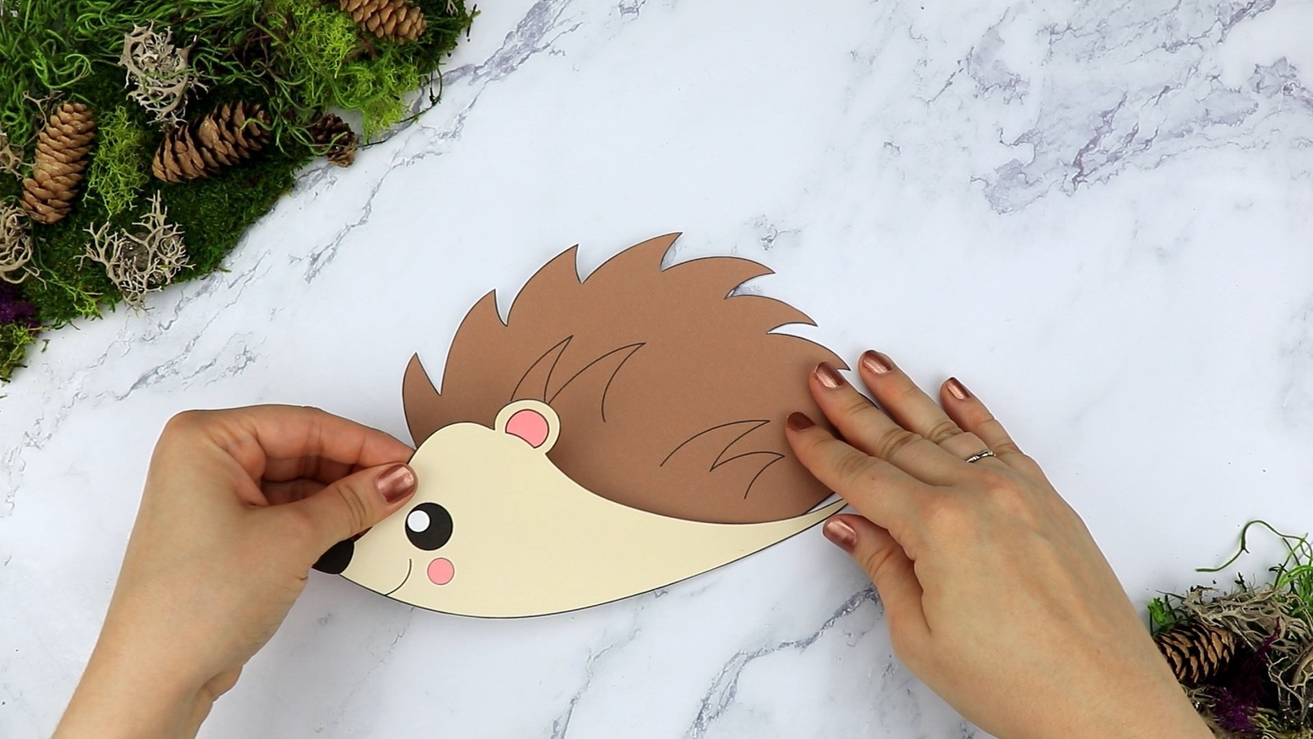 Free Printable Cut and Paste Hedgehog Craft for Kids