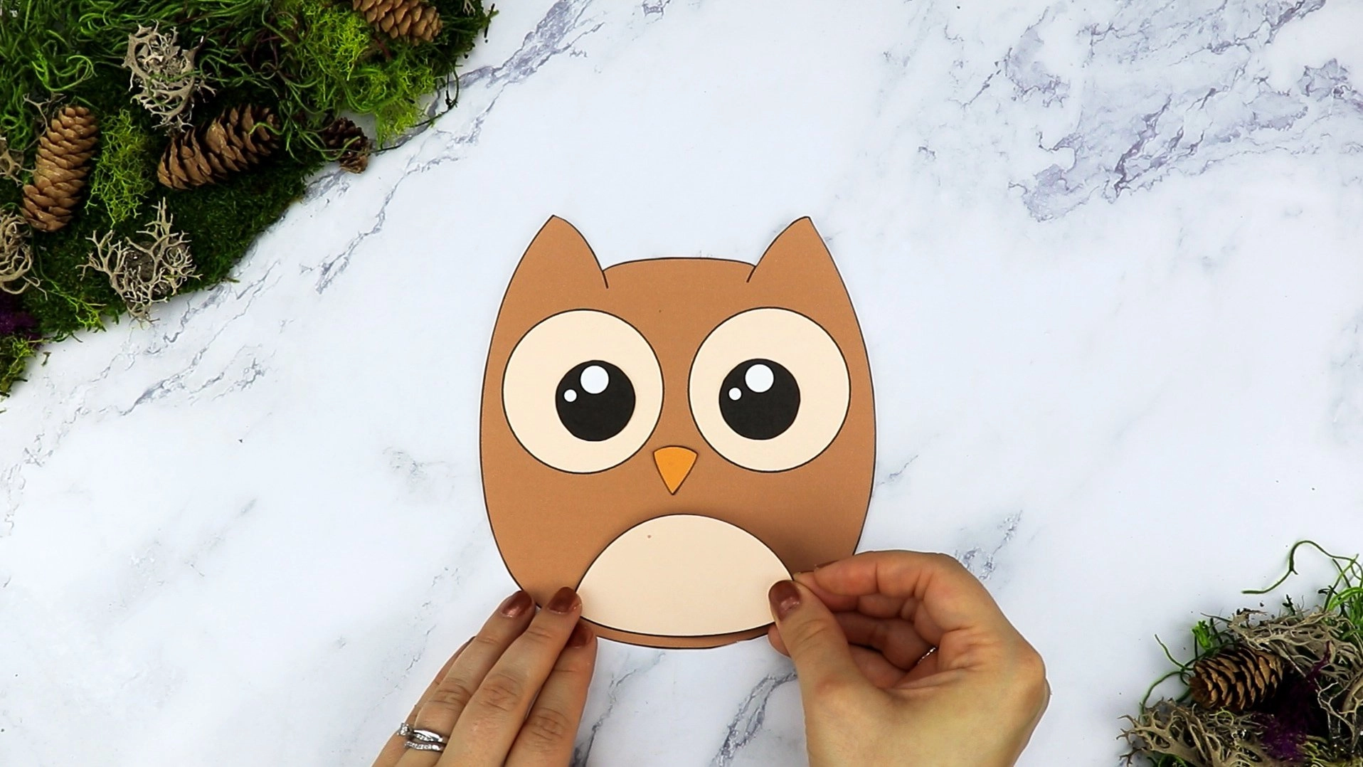 Free Printable Cut and Paste Owl Craft for Kids – Simple Mom Project