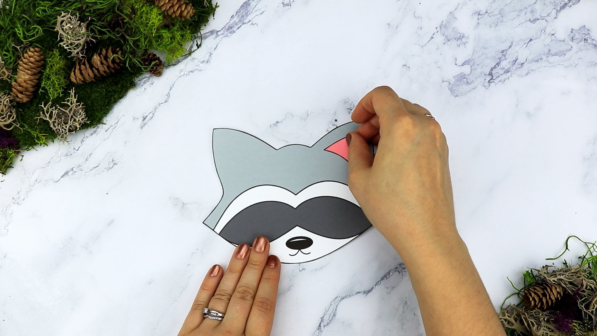 Free Printable Forest Raccoon Craft Template for kids, preschoolers, toddlers and kindergartners