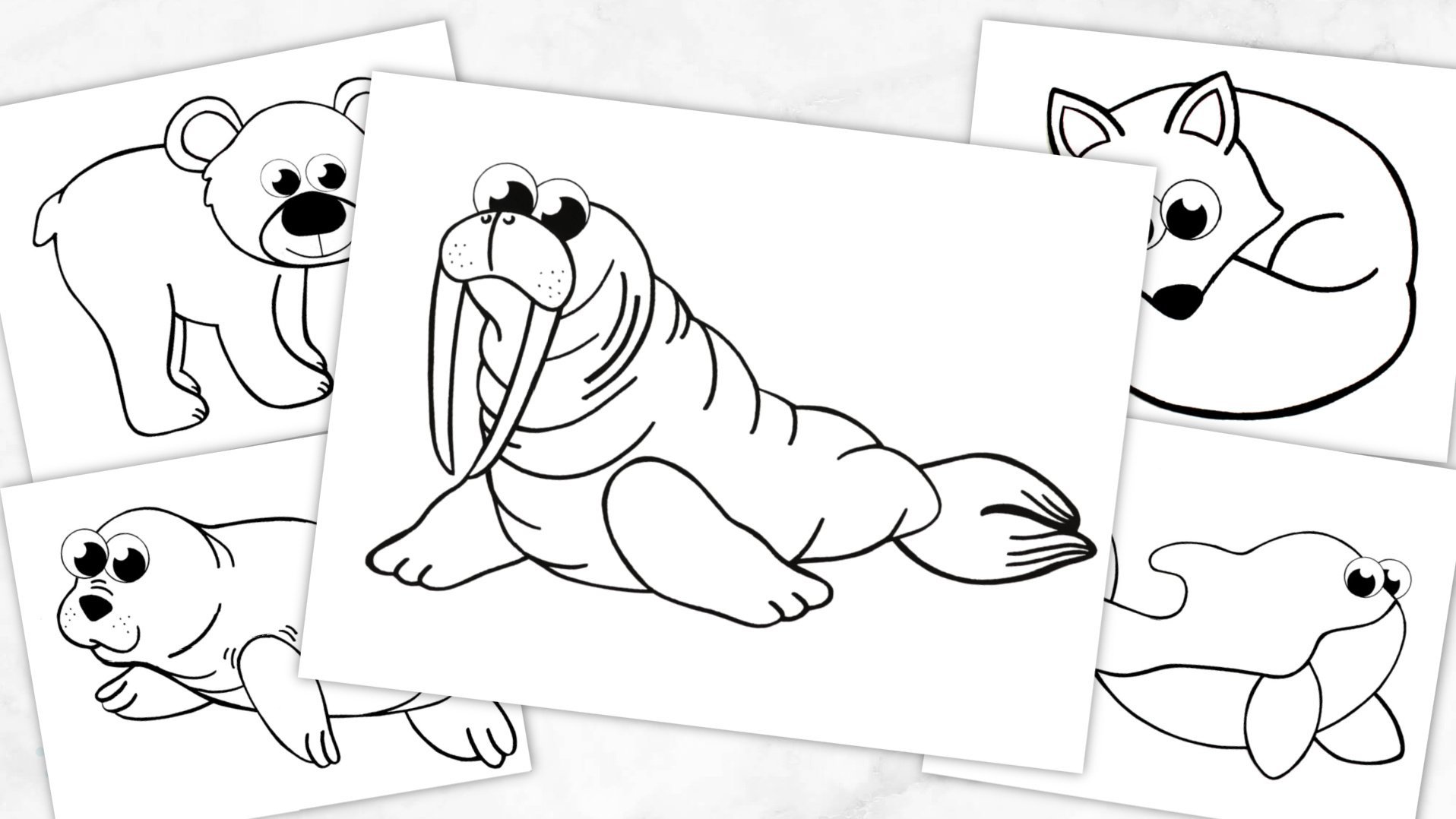 Free Printable Coloring Pages Of Arctic Animals