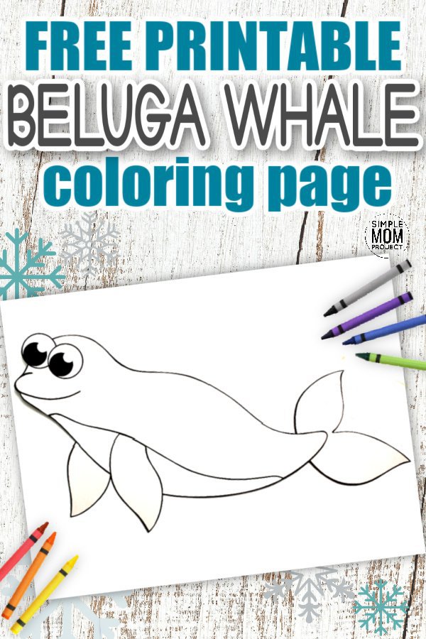 Free Printable Beluga Whale Coloring Page Simple Mom Project