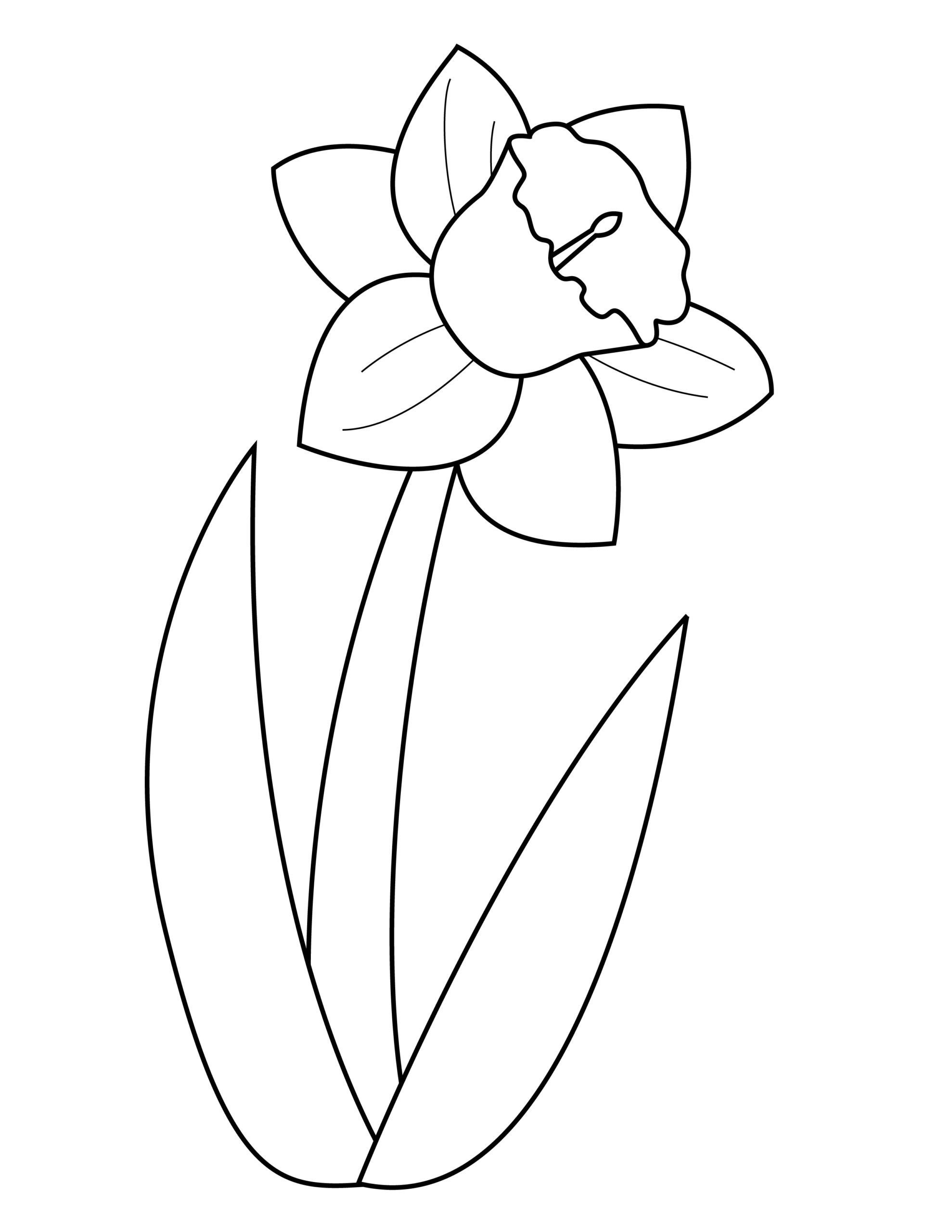 Printable daffodil template for summer template crafts for kids, preschoolers and toddlers