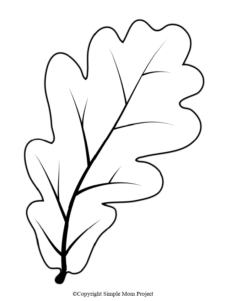 Printable Large leaf Template for Fall Crafts, Spring Crafts
