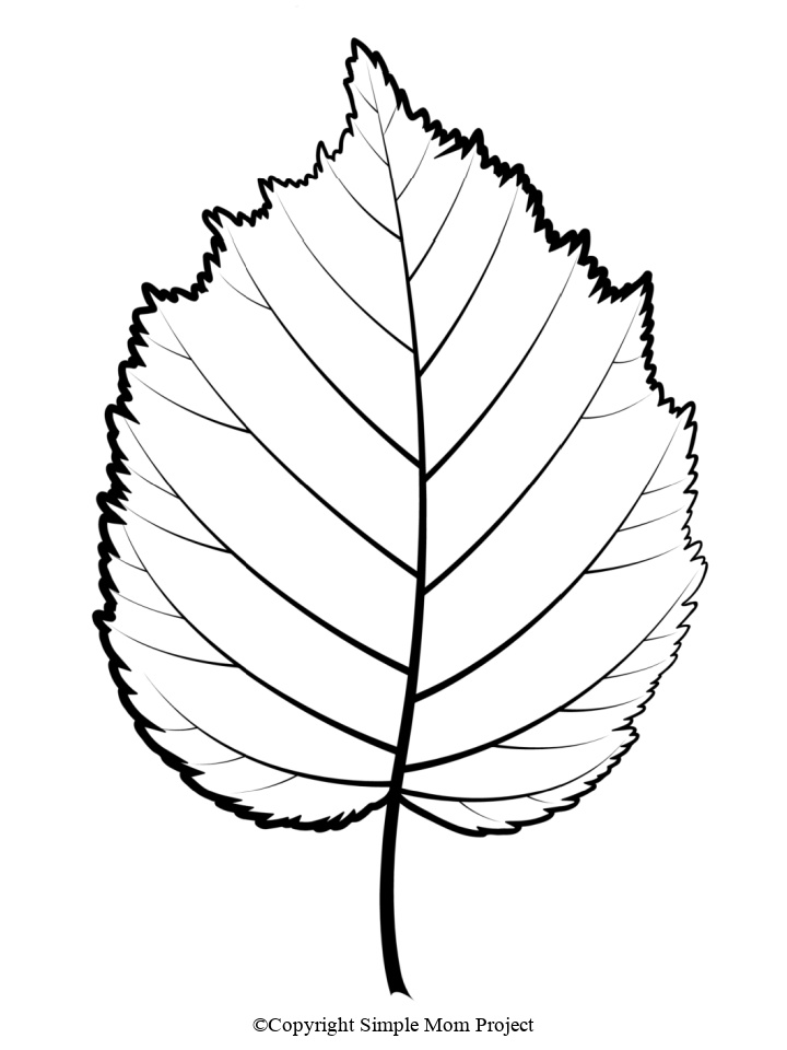 Printable Large Leaf Template for Fall Crafts, Spring Crafts