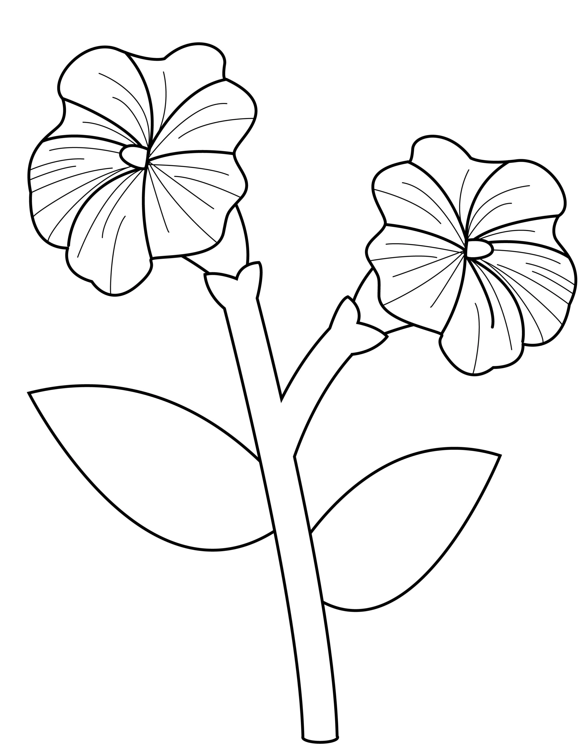 Printable petunia template for summer template crafts for kids, preschoolers and toddlers