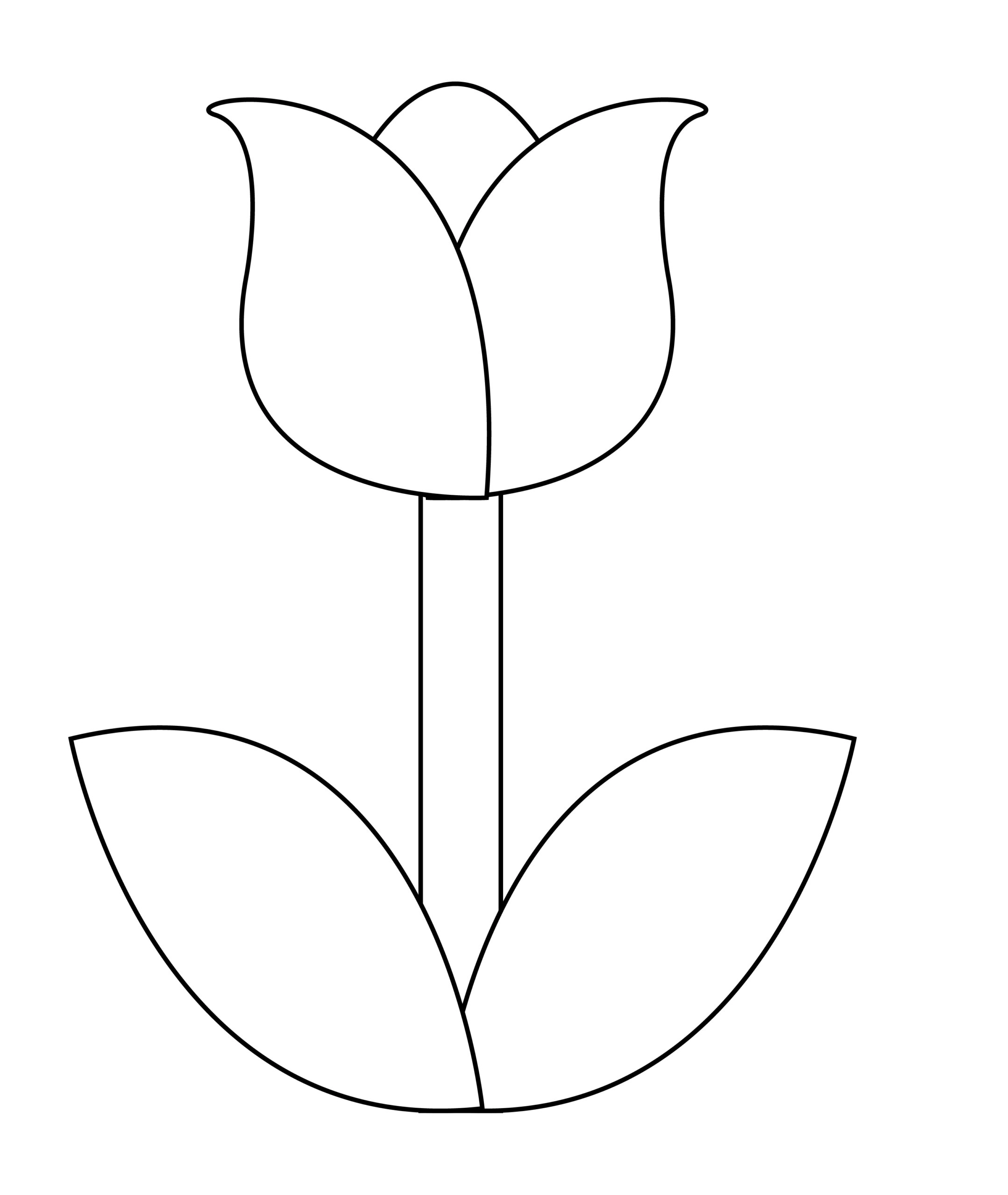 Printable tulip template for summer template crafts for kids, preschoolers and toddlers