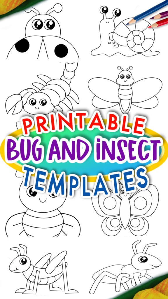 Printable Insect and Bug Templates for Preschoolers, Toddlers and Kindergartners